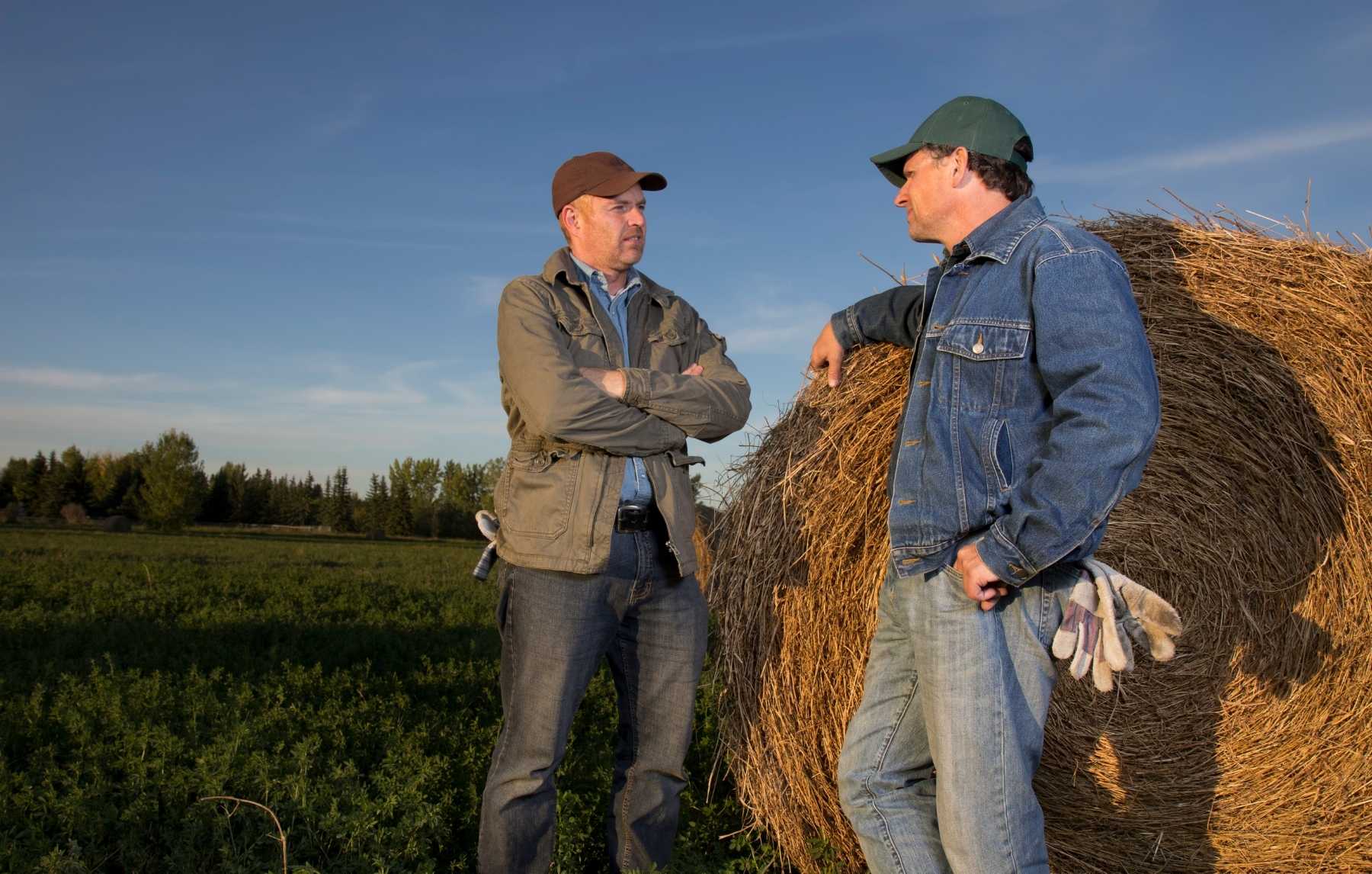 Two men talking while standing beside a haystack.