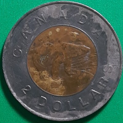 The reverse side of a Canadian 2 dollar coin, showing wear on it.