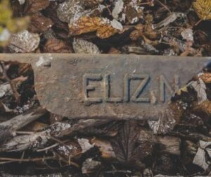 A broken piece of angle bar lying on leaves. On the angle bar it says Eliz N.