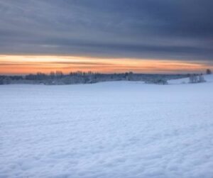 Snow-covered field with trees in the distance. An orange and yellow sunset is further in the background.