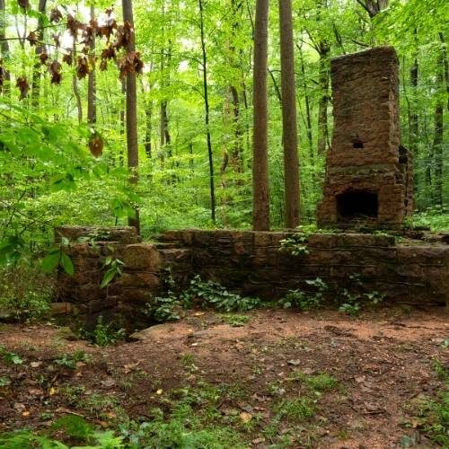 image of a ruin containing a partial wall, a hearth' and a chimney, located in a forest.